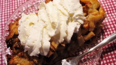 Ein Apfelstrudel liegt auf einem gläsernen Teller, dekoriert mit Schlagsahne. Der Hintergrund ist rotkariert.