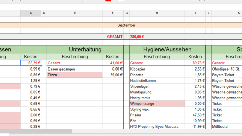 Eine Tabelle zeigt Ausgaben auf, während Einträge mit Beträgen und Kategorien zur Übersicht von Ausgaben dienen.