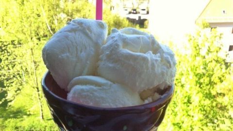 Eine Eistüte mit drei Kugeln Frozen Yogurt steht auf einem weißen Teller, umgeben von grünem Laub im Hintergrund.