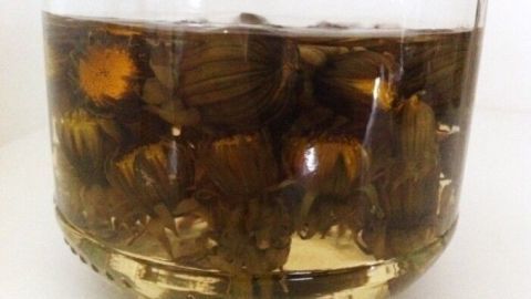 Ein Glas mit sauer eingelegten Löwenzahnkapern zeigt die Kapern in einem aromatischen, gewürzten Flüssigkeit.