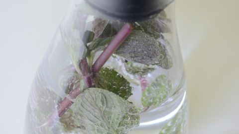 Eine Glaskaraffe mit sprudelndem kalorienfreiem Sommergetränk, gefüllt mit spritzigem Wasser und frischen Kräutern.