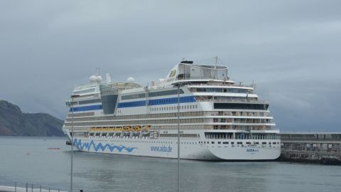 Ein großes Kreuzfahrtschiff liegt ruhig im Hafen, umgeben von grauem Himmel und ruhigem Wasser, bereit für die Reise.
