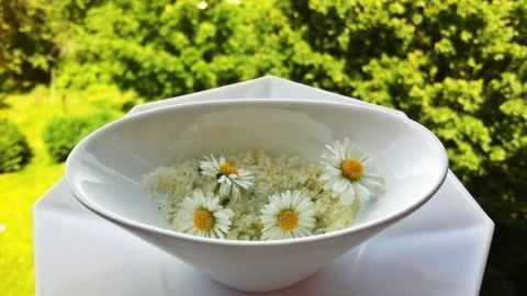 Weiße Schale mit Gänseblümchen und Zucker steht draußen, umgeben von grüner Natur.