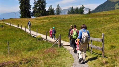 Eine Familie mit Kindern wandert auf einem schmalen Weg durch eine grüne Landschaft mit Bergen im Hintergrund.
