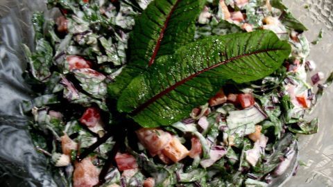 Ein frischer Blut-Sauerampfer-Salat wird in einer Schüssel serviert, dekoriert mit grünen Blättern und buntem Gemüse.