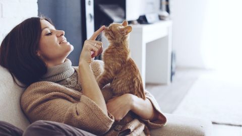 Eine Frau sitzt auf einem Sofa und spielt sanft mit ihrer orangefarbenen Katze in einer gemütlichen Wohnumgebung.