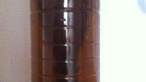 Eine transparente Flasche steht auf einem Tisch und dient als effektive Mückenfalle ohne Chemie im Innenbereich.