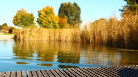Eine Holzplattform steht am ruhigen Badesee, umgeben von buntem Laub und hohen Gräsern, perfekt für Badeunfälle zu vermeiden.