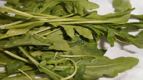 Frischer Rucola liegt auf einem weißen Tuch und zeigt, wie man bunten Salat frisch halten kann.