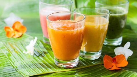 Bunte Smoothies stehen in Gläsern auf grünen Blättern, umgeben von dekorativen Blumen, die frische gesunde Genussmomente ausstrahlen.