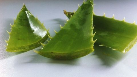 Drei geschnittene Aloe Vera Blätter liegen auf einer glatten Oberfläche und sind bereit zur Anwendung in der Hautpflege.