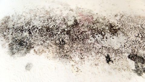 Schimmel breitet sich auf einer weißen Wand aus und zeigt ungesunde Flecken in einem Wohnraum.