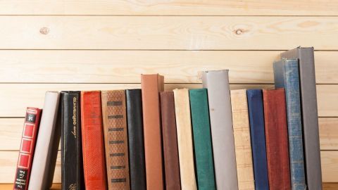 Eine Reihe von gebrauchten Büchern steht auf einem Holzregal vor einer hellen Holzvertäfelung, bereit zum Lesen.