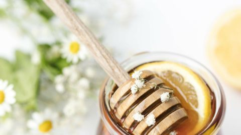 Ein Glas Gänseblümchen-Sirup mit einem Holzlöffel, umgeben von frischen Blumen und einer Zitronenscheibe.