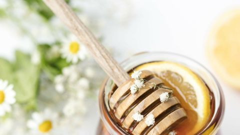 Gänseblümchen-Sirup - köstlich und sehr gesund!