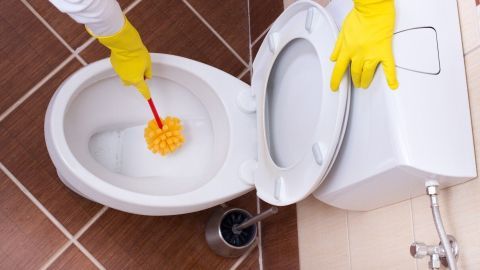Eine Hand mit einem gelben Gummihandschuh reinigt mit einer Bürste Kalk und Urinstein in einer weißen Toilette.