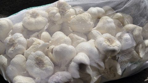Eine durchsichtige Netzsack enthält frische Champignons, die zum Einkauf von Obst und Gemüse ohne Plastiktüten verwendet werden.