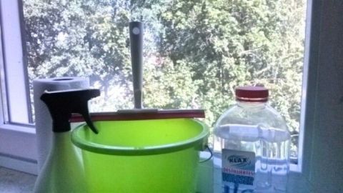 Ein grüner Eimer steht auf einer Fensterbank, umgeben von Reinigungsflasche und Wasserflasche, während draußen Bäume sichtbar sind.