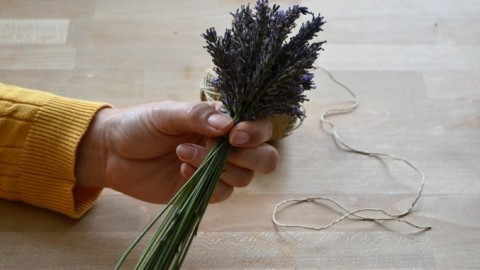 Kreatives aus Lavendel - Räucherwerk, Kräutersäckchen und Duftschale