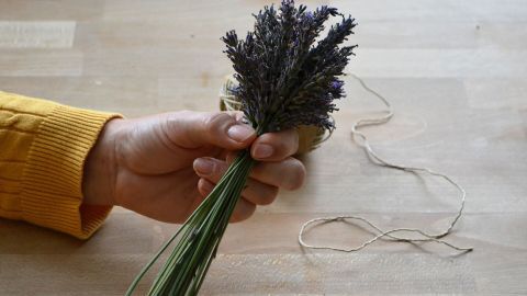 Ein Hand hält ein gebündeltes Lavendelstrauß, während es mit einer Schnur gebunden wird, auf einem hellen Tisch.