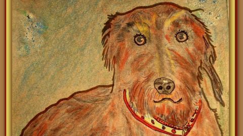 Ein brauner Hund mit Halsband sitzt ruhig auf einem bunten Hintergrund, dessen Details Anzeichen von Kreativität zeigen.