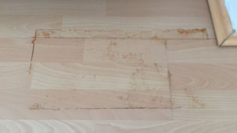 Ein Laminatboden mit Rostflecken zeigt einen unschönen, verfärbten Bereich in einem hellen Raum.