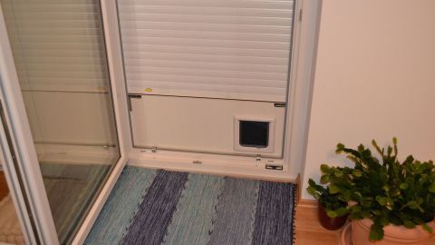 Eine Katzenklappe ist in eine Wand integriert, die offen bleibt, während ein Teppich und eine Pflanze in der Nähe stehen.