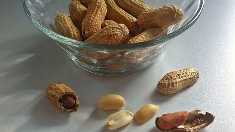 In einer Glasschüssel liegen geröstete Erdnüsse in der Schale, umgeben von einige geschälten Erdnüssen auf einer Oberfläche.