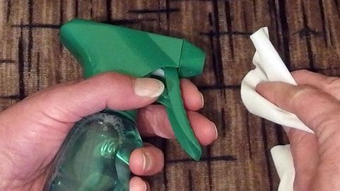 Eine Hand hält einen grünen Sprühreiniger, während die andere ein Reinigungstuch für die Couch benutzt.
