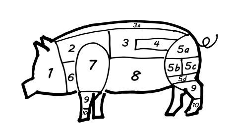 Moderne „Hochleistungs“-Schweine besitzen 16 statt 12 Rippen, wachsen sehr schnell und haben 50% weniger Speck als ihre Vorfahren. Die Muskeln sind weniger von Fett durchzogen.