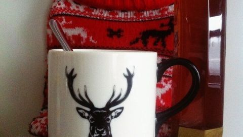 Eine Tasse mit einem Hirschkopf-Design steht auf einem Tisch, während ein heißer Tee und eine Wärmflasche daneben sind.