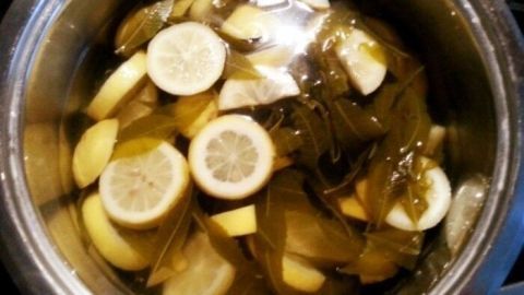 Scheiben von Zitronen und andere Zutaten liegen in einem Topf mit Wasser, um Zitronensirup selbst zu machen.