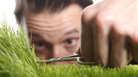 Eine Hand hält eine Schere und schneidet Gras an einer vertikalen Fläche, während ein Mann im Hintergrund konzentriert zuschaut.