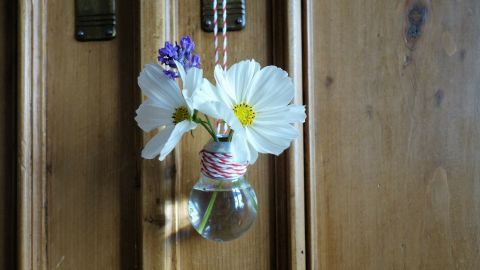 Eine kaputte Glühbirne dient als Vase, in der frische Blumen bunt arrangiert sind und an einer Holzoberfläche hängen.