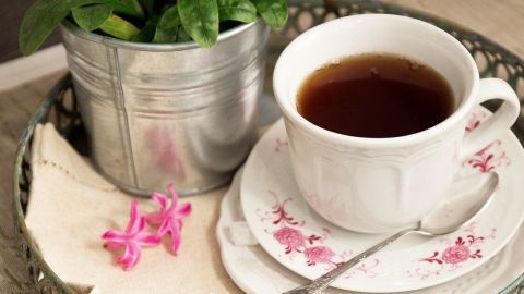 Ein Tablett mit einer Tasse Tee und einer Pflanze ist auf einem dekorativen Untergrund arrangiert, ideal für eine entspannte Teepause.