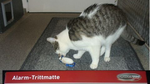 Eine Katze steht auf einer Alarm-Trittmatte, die beim Betreten Geräusche auslöst, platziert in einem abgedunkelten Flur.