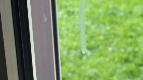 Ein schmutziges Fenster mit Kalkspritzern und Fliegendreck, im Hintergrund ist eine grüne Wiese sichtbar.