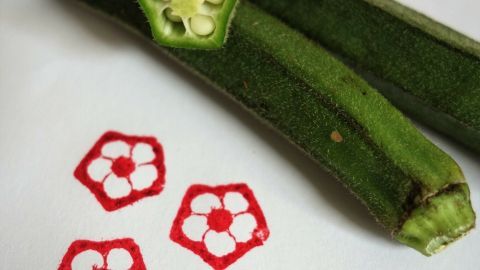 Okraschoten liegen neben bl&uuml;tenf&ouml;rmigen Stempeln, die mit roter Farbe auf wei&szlig;em Papier abgedruckt sind.