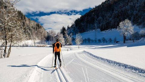 Ein Skilangläufer gleitet durch eine verschneite Winterlandschaft, umgeben von Bäumen und einem klaren Himmel.