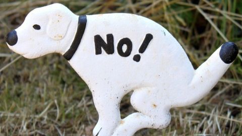Ein Hundesymbol steht im Gras und zeigt mit einer Beschriftung "NO!" an, um die Leute vor Hundekot zu warnen.