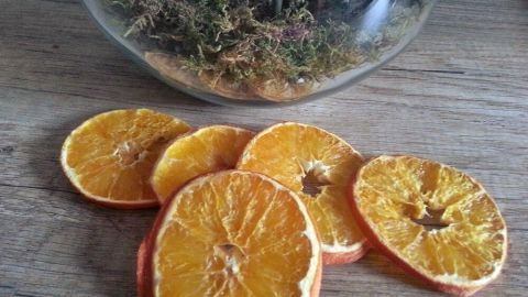 Getrocknete Orangenscheiben liegen auf einem Holztisch, umgeben von einem Glasgefäß mit Pflanzen. Ideal für Dekorationszwecke.