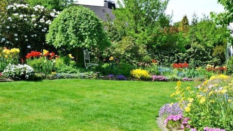 Ein gepflegter Garten mit bunten Blumen, grünem Rasen und Bäumen im Hintergrund bietet eine ideale Düngesituation.