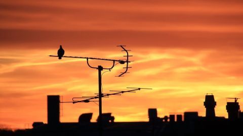 Eine Silhouette einer Antenne steht gegen einen bunten Sonnenuntergang, während ein Vogel darauf sitzt, was den Umstieg auf DVB-T2 HD symbolisiert.