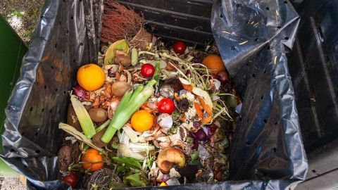 In einer schwarzen Tonne befindet sich ein bunter Mix aus Zitrusfrüchten und anderen Küchenabfällen, die kompostiert werden.