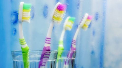 Vier bunte Zahnbürsten stehen in Gläsern auf einem Regal vor einer blauen, aquarienartigen Wand, die Wasserbläschen zeigt.