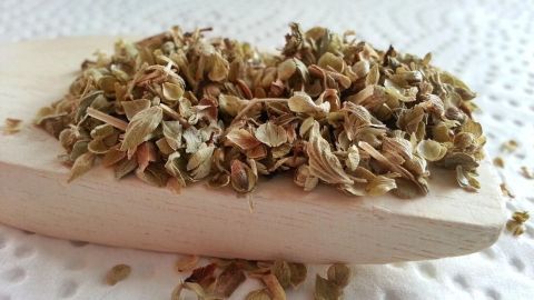 Getrockneter Oregano liegt auf einem Holzlöffel und wird als natürliche Abwehr gegen Motten und Blattläuse verwendet.