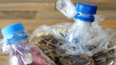 Tütenverschlüsse aus PET-Flaschen sichern getrocknete Früchte und Snacks, die in durchsichtigen Tüten auf einem Holztisch liegen.