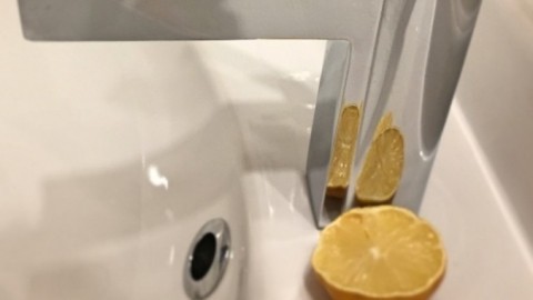 Ausgepresste Zitronen nicht wegwerfen