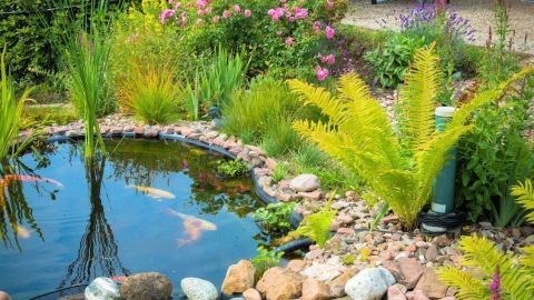 Ein klarer Gartenteich mit Felsen und Pflanzen, umgeben von bunten Blumen in einer gepflegten Gartenlandschaft.