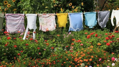 Bunte Wäsche hängt zum Trocknen an einer Leine, umgeben von blühenden Blumen im Garten. Wäsche reinigen ohne Waschmaschine.